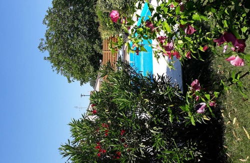 Puyravault House | House with swimming pool - Marais poitevin - near seaside