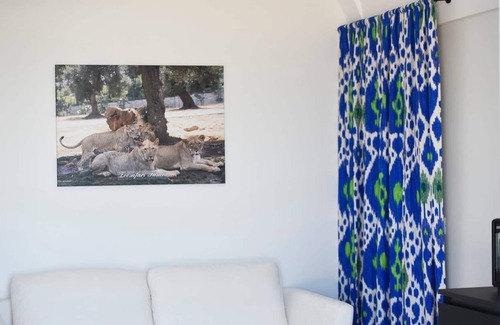 L'Assunta Apartment | House with swimming pool in historic villa in Monopoli n. 4