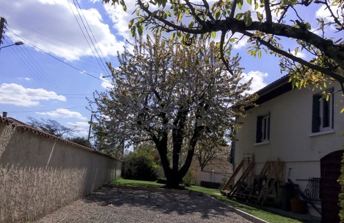 Surgeres House | House with swimming pool and pétanque court
