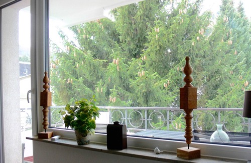 Bad Harzburg Apartment | Hudewusch *
