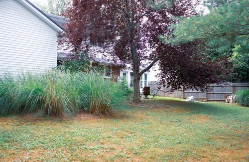 Bloomington House | Huge Manor w Indoor Hot Tub and Pool Table