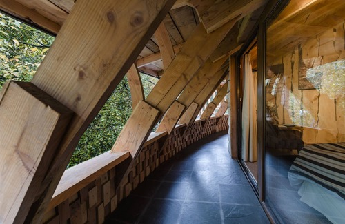 Neltume Cabin | Huilo Huilo Reino Fungi