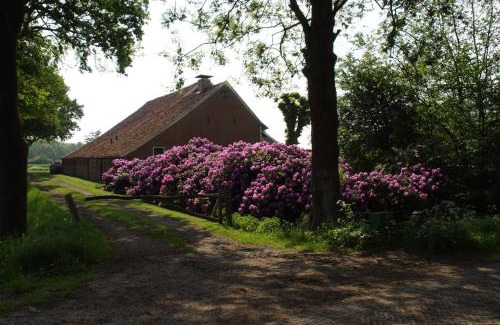 Onstwedde Bed & Breakfast | Huis Eedingh