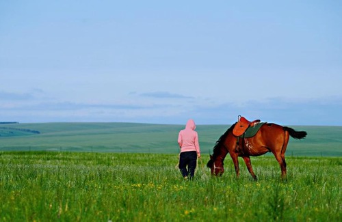 Hailar Other | Hulunbuir Grassland Paradise