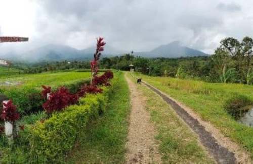 Penebel Cabin | Humble Cabin surrounded by Nature Vibes - Rice Fields and waterfalls