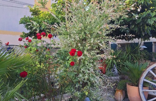 Avignon Apartment | hummingbird/dog accepted on request