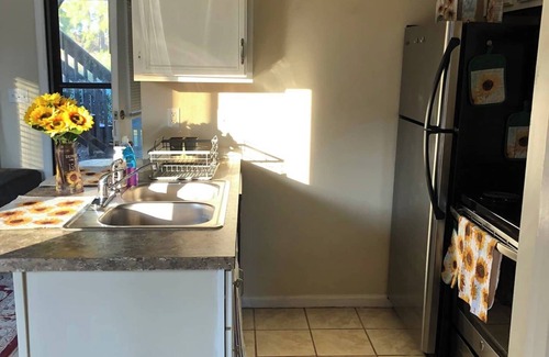 Surfside Beach Condo | Hummingbird's Comfortable Ground Floor Condo w/State Park Pass - Bring the Pup!n