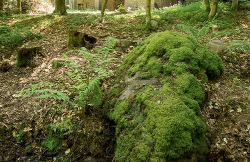 Losheim am See Apartment | Hunting lodge by the stream
