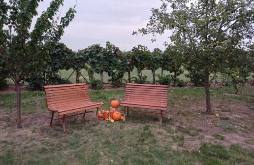 Balatonkiliti Apartment | HutiFeri apartman