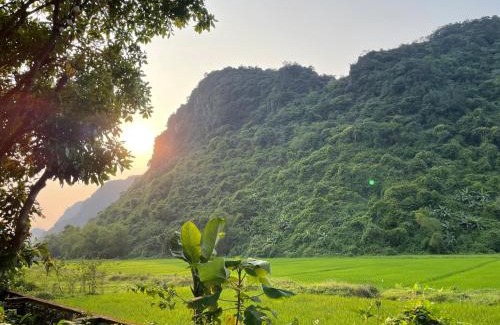 Son Trach Cabin | Huy-Homestay