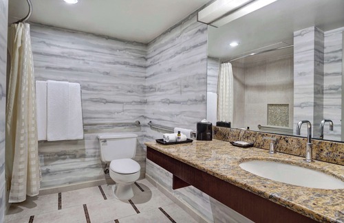 Dallas Hotel | Hyatt Regency DFW International Airport - Adjacent to Terminal C