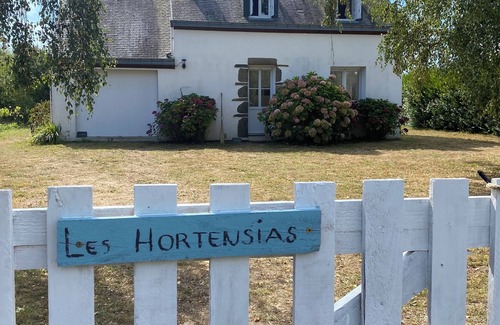 Groix House | Hydrangeas