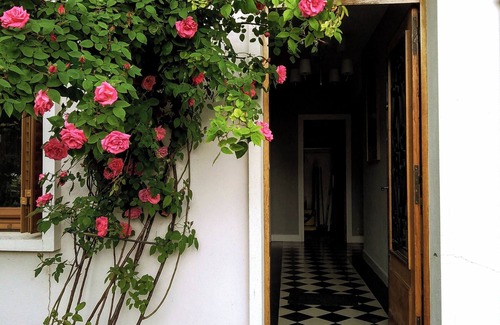 Chamalieres Apartment | Hypercentre - Luxury neighbourhood Quiet - 2 parking lots - Garden - Wifi
