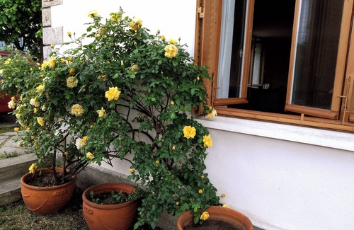Chamalieres Apartment | Hypercentre - Luxury neighbourhood Quiet - 2 parking lots - Garden - Wifi