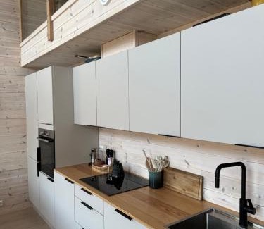 Sirdal House | Hytte i fin høyfjellsnatur, Sirdal nær Kjerag