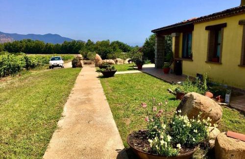Muravera House | I Carrubi