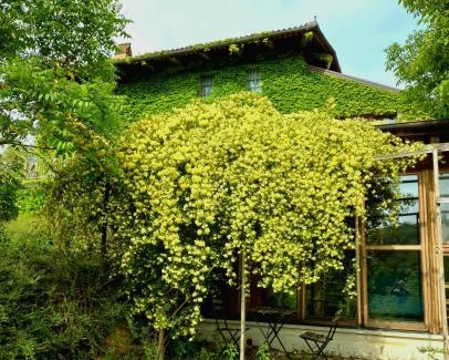 Cinzano House | I Conti della Serva
