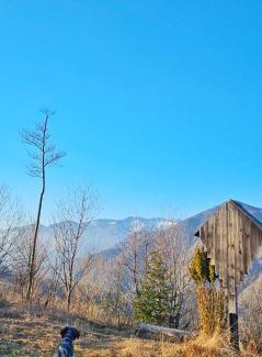 Kamnik House | Ica - hišica v hribih