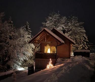 Kamnik House | Ica - hišica v hribih