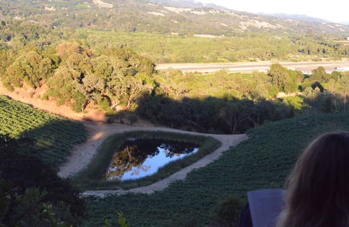 Cloverdale House | Icaria Creek- Relax Amongst the Vineyards in Alexander Valley