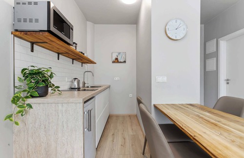 Reykjavik Apartment | Iceland Comfort Apartments Studio for 5