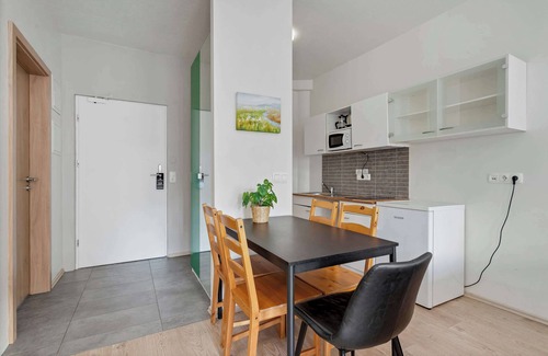Reykjavik Apartment | Iceland Comfort Apartments Studio for 5