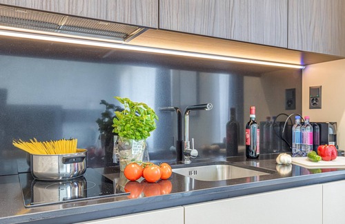 Lugano Apartment | Icon H 506 Suite Business