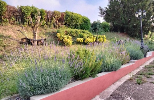 Arenzana de Abajo House | Ideal place to disconnect from the city, rest and have fun