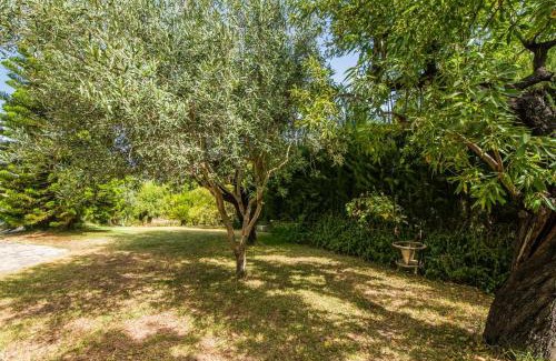 Inca House | Ideal Property Mallorca - Can Reure