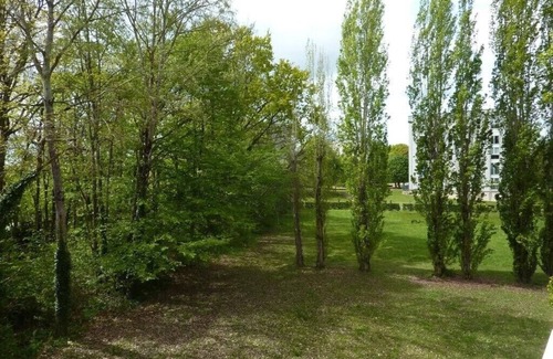 Blois Apartment | IDEAL TO VISIT THE CASTLES OF LOIRE BLOIS /AMBOISE /large apartment