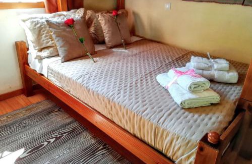 Penso Villa | Ideal Villa in Vila Nova de Famalicão with Private Pool
