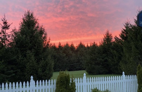 Bemus Point House | Idyllic Country Getaway 1 Mile from Bustling Bemus Point