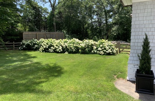West Mystic House | Idyllic Mystic Estate ~ Private Lovely Pool ~ Beautiful Landscaping!
