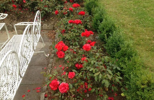 Adare House | Idyllic, self catering holiday home, close to the village of Adare,. Limerick.