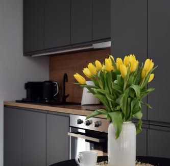 Zamosc Apartment | IGIS Apartament z tarasem na dachu