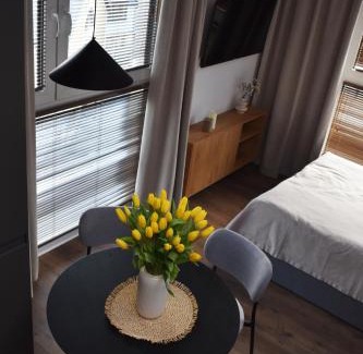 Zamosc Apartment | IGIS Apartament z tarasem na dachu