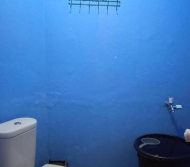 Kalipuro House | Ijen adventure house