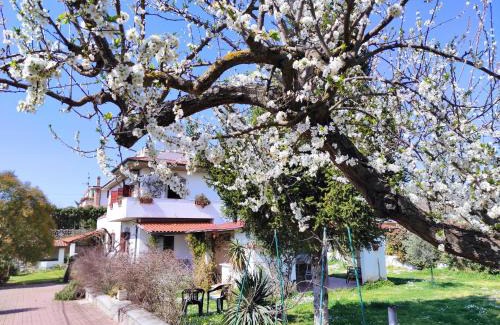 Palombara Sabina House | Il Ciliegio Holiday Apartment With Garden
