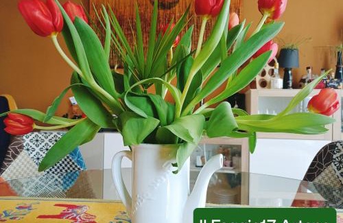 Macere Bed & Breakfast | Il Faggio 17 B&B