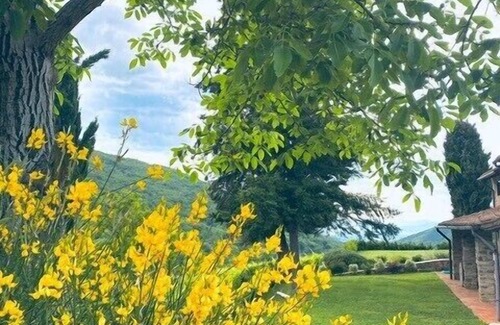 Greve in Chianti House | Il Fienile di Pie Vecchia