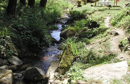 Capannori Apartment | IL Mulino -antique mill Lucca hills