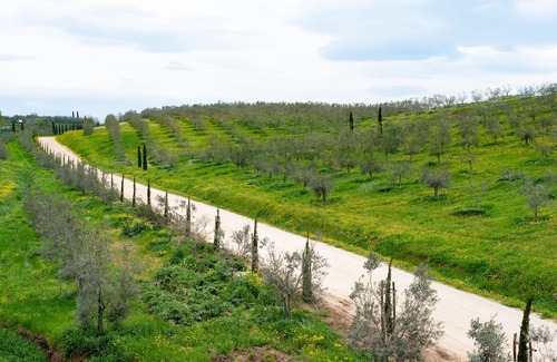 Farnese Hotel | Il Podere di Marfisa