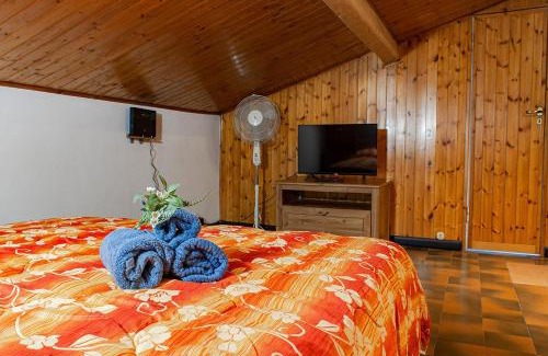 Livorno Apartment | Il Rifugio a 3 minuti dai traghetti