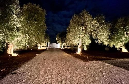 Fasano Bed & Breakfast | Il Trullo di Bina