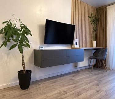 Ramnicu Valcea Apartment | Illi Home