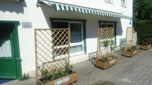 Peiting Apartment | Im Laden