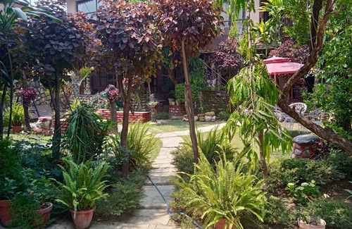 Bullawala House | Deluxe cozy nest 1 room set