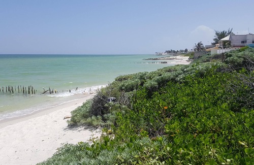 Chuburna Puerto House | In front of the beach with power and wifi included!