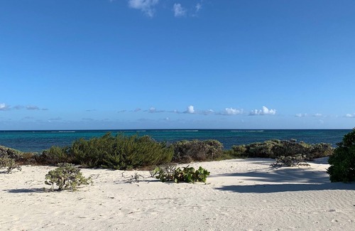 Blossom Village House | In Seaclusion, Little Cayman