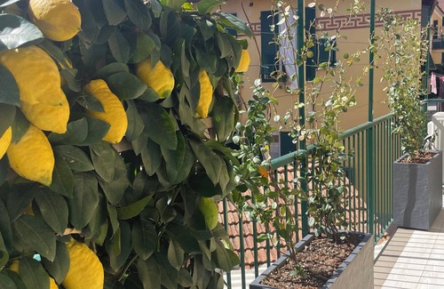 Santa Margherita Ligure Apartment | In the center of Santa Margherita, two floors, just renovated